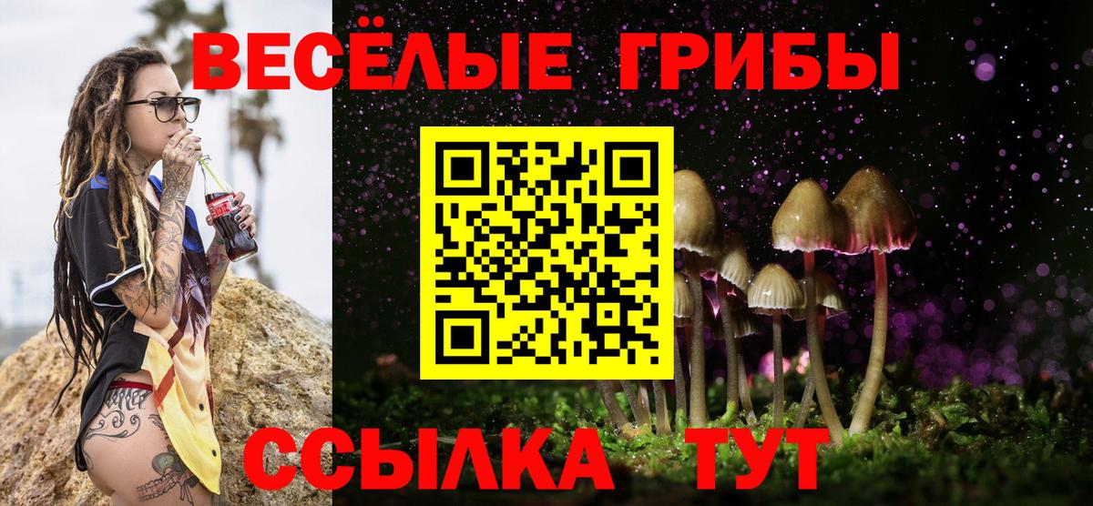 Галлюциногенные грибы мухоморы Нерюнгри